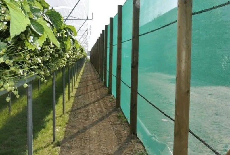 Agriculture Netting
